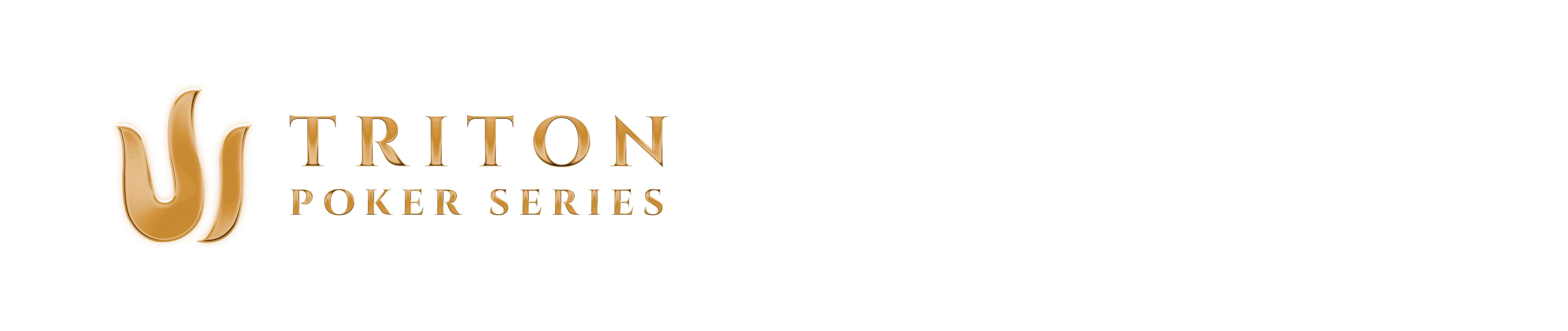 Festival Brand Image