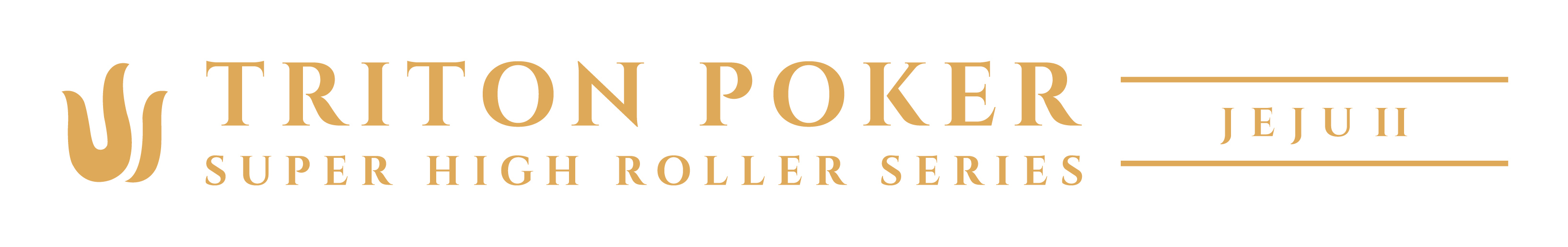 Festival Brand Image