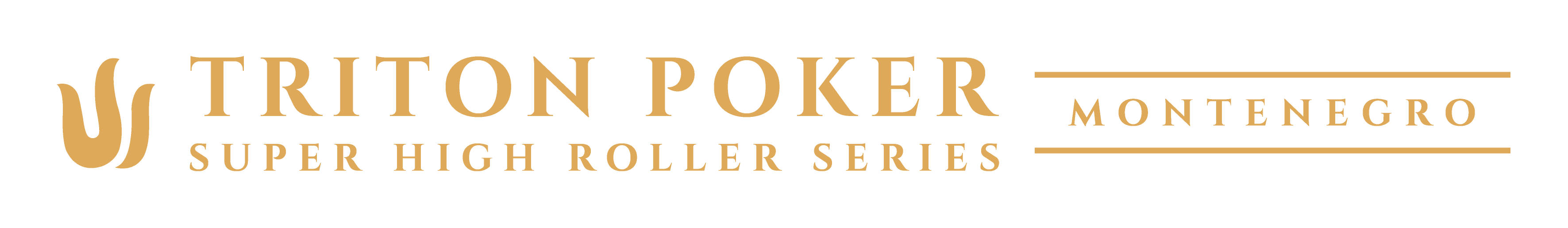 Festival Brand Image