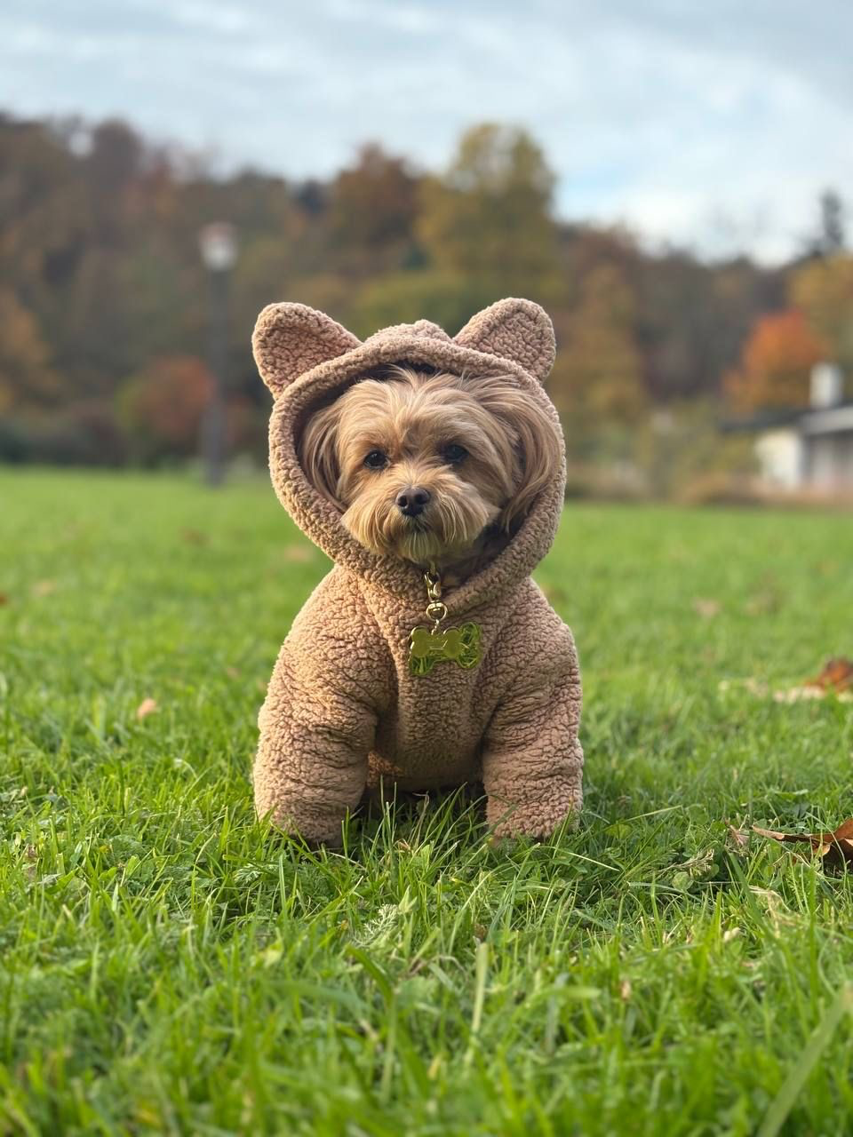Bella, Igor
              Yaroshevskyy