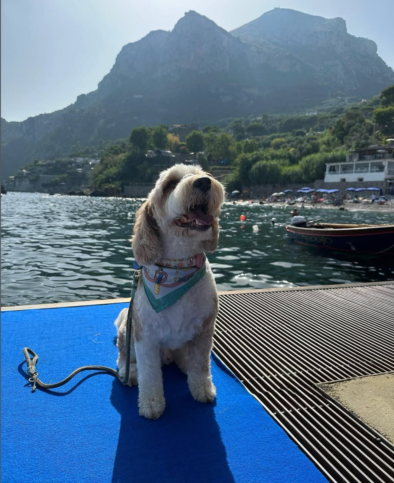 Oscar, Haralabos Voulgaris
