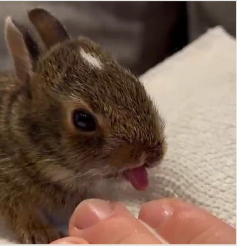 Ronny as a baby